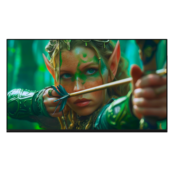 65S25BM2 (BRAVIA-2II)